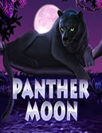 ว ธ เล นหา sbobet ให้ได้ผลลัพธ์แบบเซียนในปี 2023